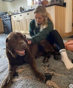 A happy chocolate labrador lying in a kitchen while Jo massages its back