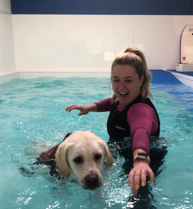 Jo in a wetsuit supporting a yellow Labrador swimming in a hydrotherapy pool