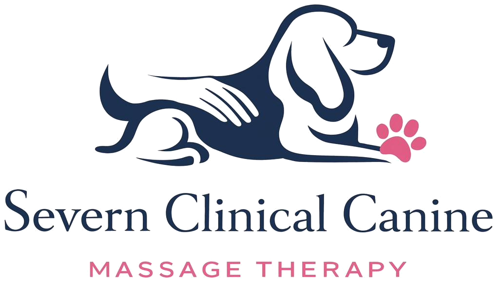 Severn Clinical Canine Massage Therapy